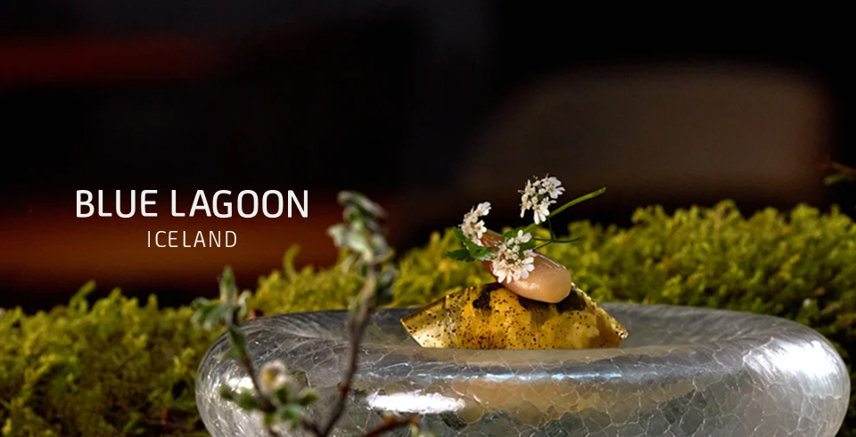 blue-lagoon-restaurant-metsa-ai